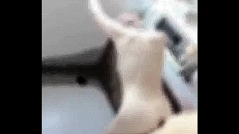 色情 短 片 在线 看