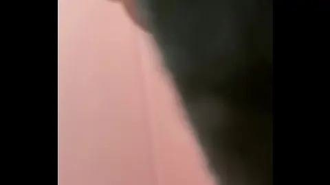 少女 做爱 片