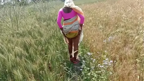 麻豆传媒 · 麻豆传媒色情片 · 65