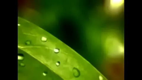 做爱 短 视频
