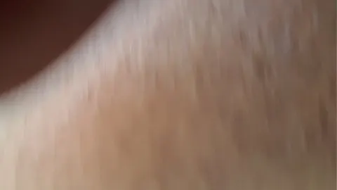 高清 性爱 影片 · 二